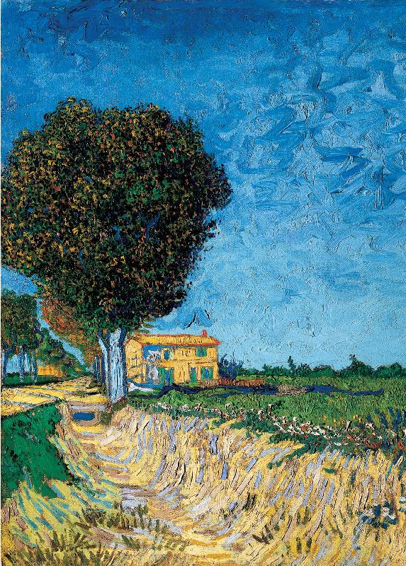 Vincent Van Gogh Avenue bij Arles Sweden oil painting art